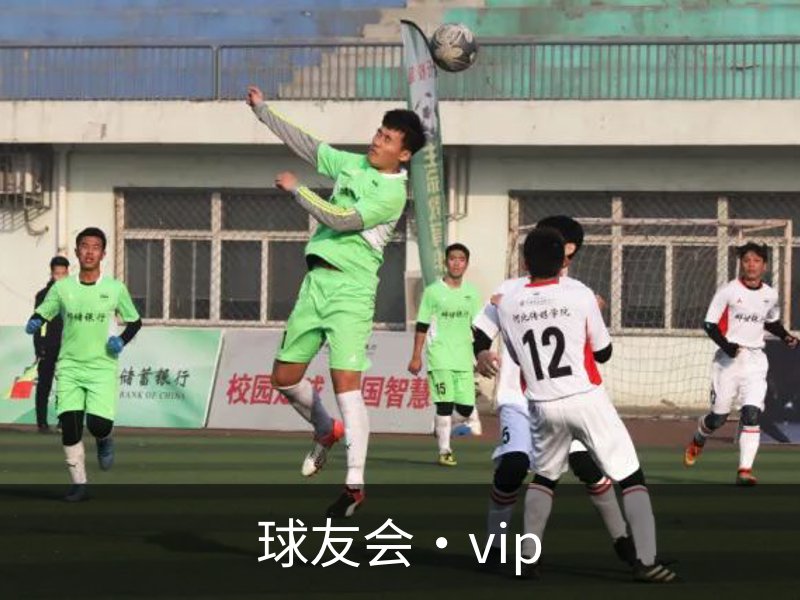 关于球友会·vip